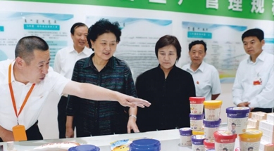 原中共中央政治局委員、國務(wù)院副總理劉延?xùn)|視察我公司